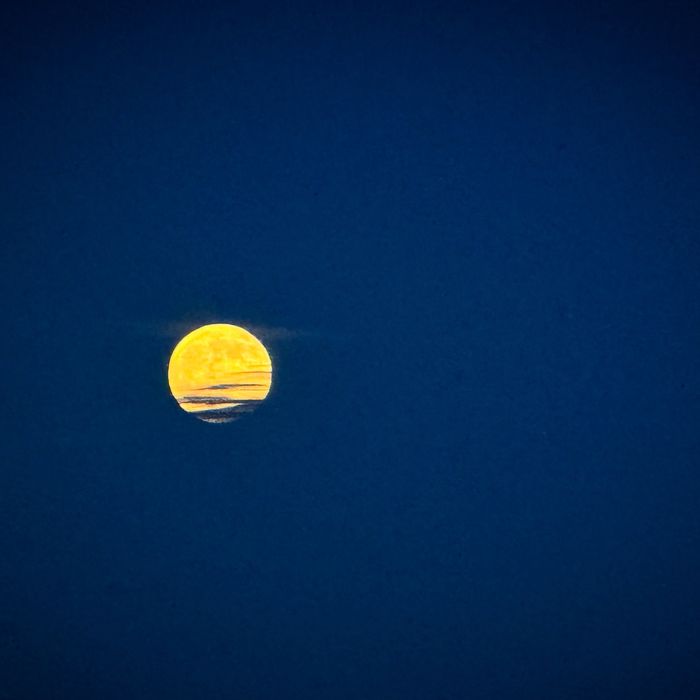 A golden full moon in a deep blue night sky